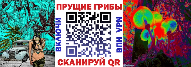 Псилоцибиновые грибы MAGIC MUSHROOMS  mega ТОР  Сердобск  закладка 